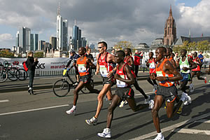 Messe Frankfurt Marathon: Skyline