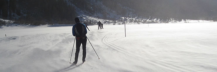 Skaten und Langlaufen im Goms: Windböen bei Oberwald
