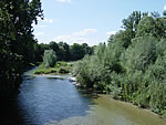 Naturparadies an der Isar in München