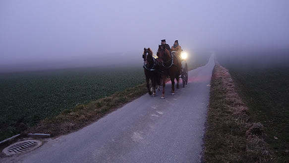 Kutschenfahrt im Nebel: Weitsicht ist immer gut!