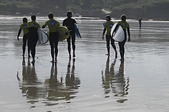 École de Surf de Crozon: Surfing Sardine