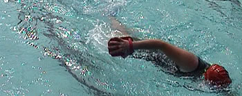 Langstreckenschwimmen Swimcampus