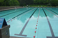 Training Langstrecken-Schwimmen im Freibad Wyler