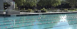 Training Langstrecken-Schwimmen im Freibad
